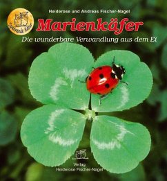 Marienkäfer von Fischer-Nagel