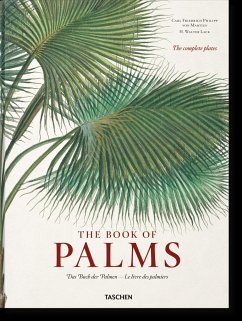 Martius. The Book of Palms von Taschen Verlag