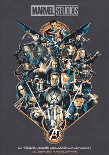 Marvel Posterkalender 2025: Die coolsten Plakate der Superhelden aus dem MCU in einem Jahres-Wandkalender für Kino- und Comic-Fans. Wand-Kalender im Hochkantformat 29,4 x 41,8 cm von Danilo