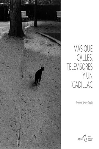 Más que calles, televisores y un cadillac (Cámara Lúcida, Band 5) von Editorial Universidad de Almería