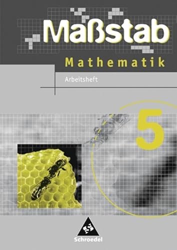 Maßstab - Mathematik für Hauptschulen in Niedersachsen - Ausgabe 2005: Arbeitsheft 5