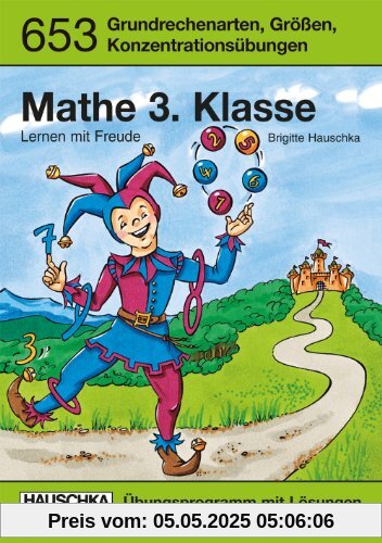 Mathe 3. Klasse. Lernen mit Freude