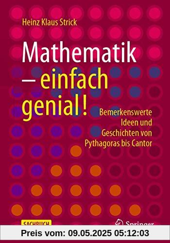 Mathematik – einfach genial!: Bemerkenswerte Ideen und Geschichten von Pythagoras bis Cantor