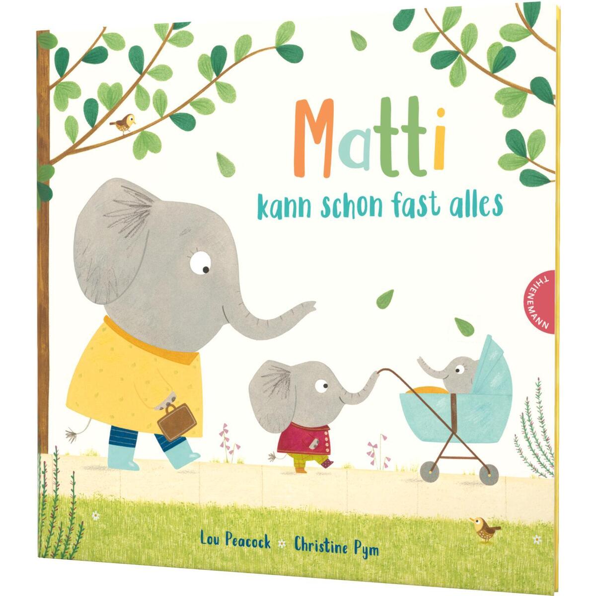 Matti kann schon fast alles von Thienemann