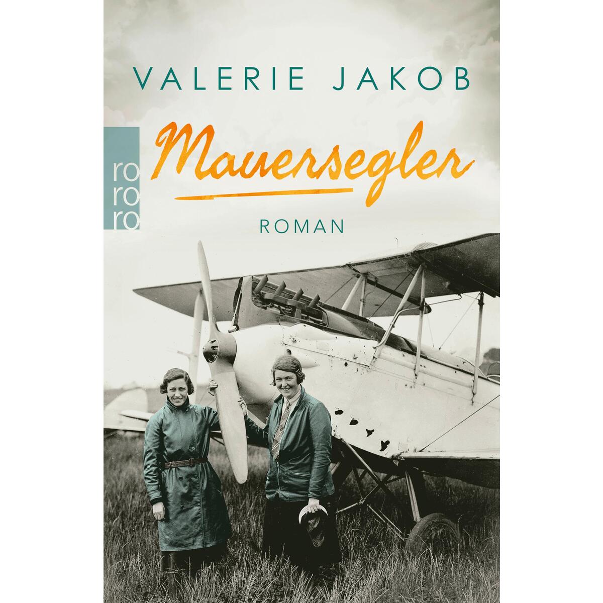 Mauersegler von Rowohlt Taschenbuch