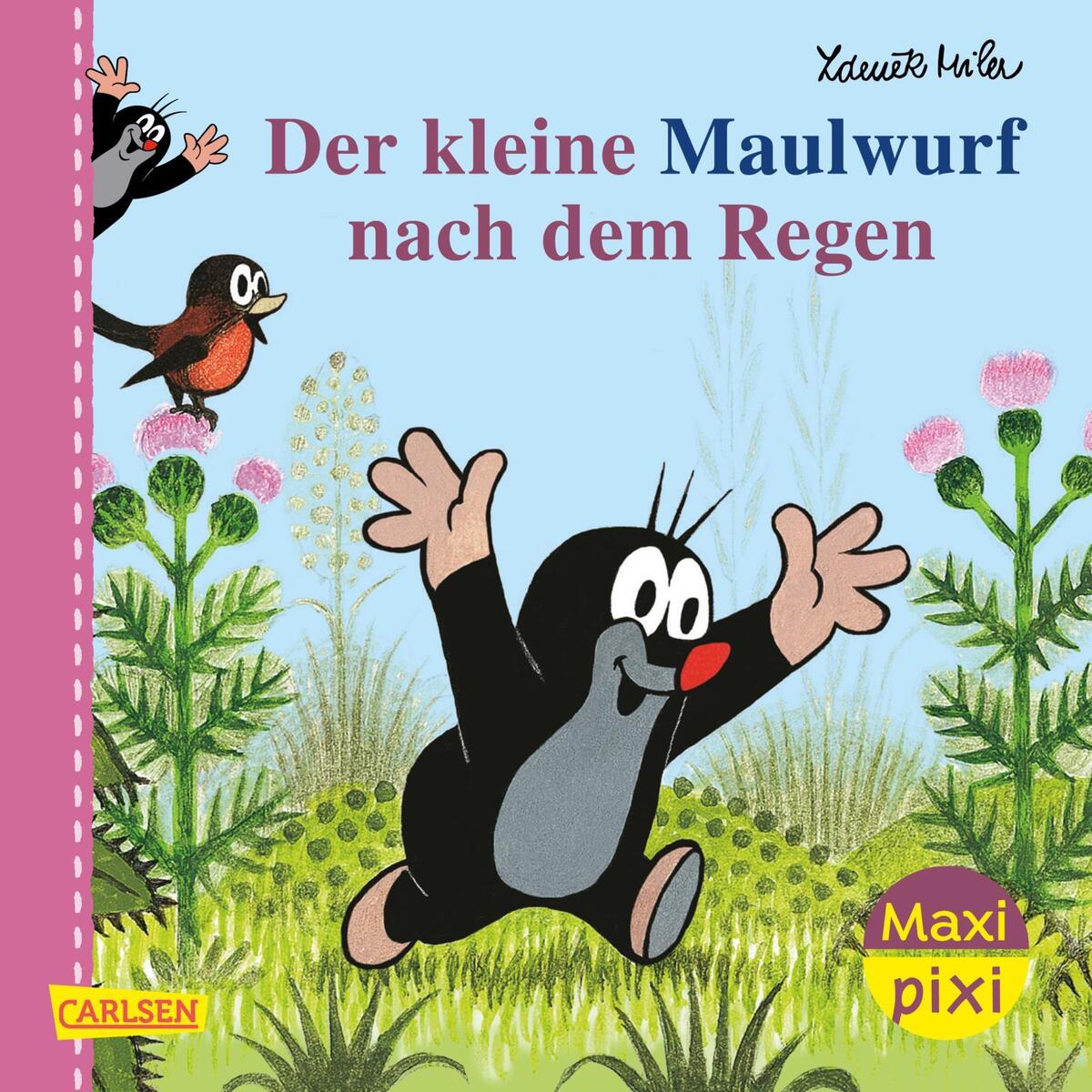 Maxi Pixi 200: VE 5 Der Maulwurf nach dem Regen (5 Exemplare) von Carlsen Verlag GmbH