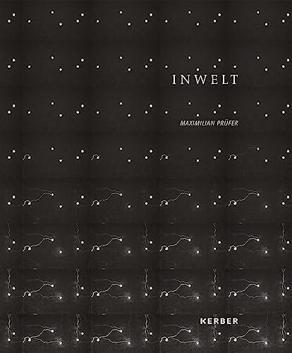 Maximilian Prüfer: Inwelt