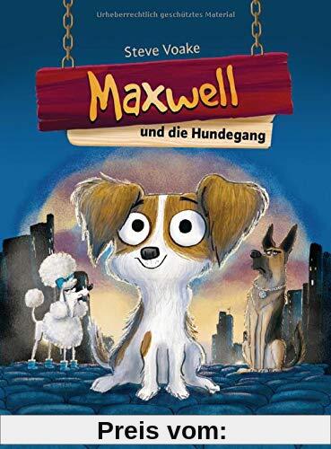 Maxwell und die Hundegang (Die Maxwell-Reihe, Band 1)