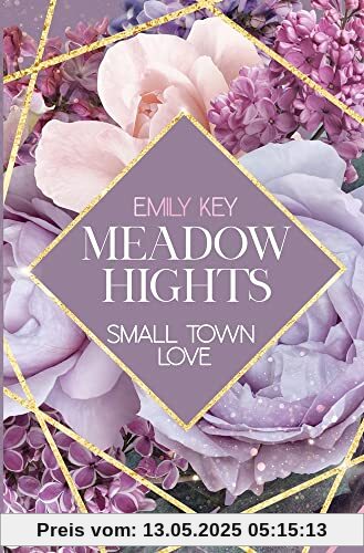 Meadow Hights: Small Town Love
