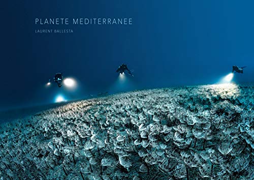 Mediterranean Planet: Laurent Ballesta