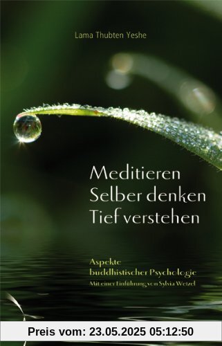 Meditieren. Selber denken. Tief verstehen: Aspekte buddhistischer Psychologie