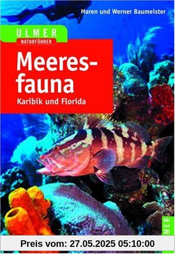 Meeresfauna Karibik und Florida