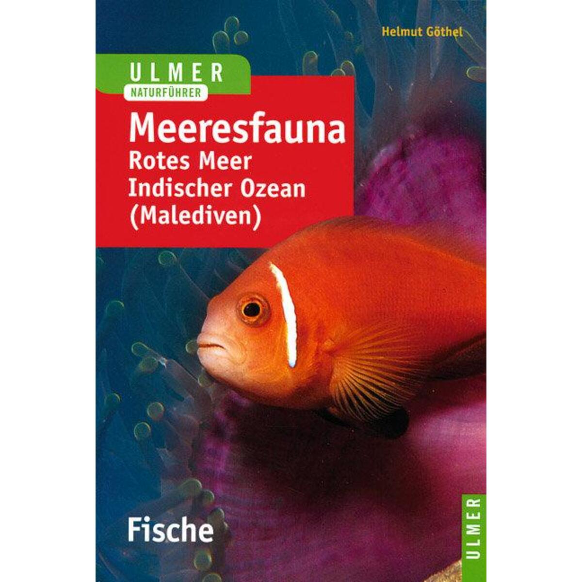 Meeresfauna. Fische Meeresfauna. Fische von Ulmer Eugen Verlag