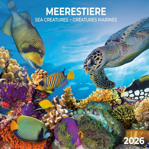 Meerestiere 2026: Kalender 2026 (Artwork Edition) von Tushita PaperArt