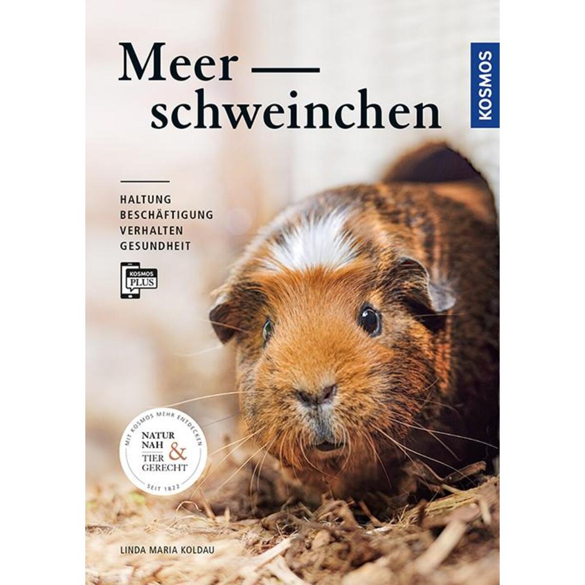 Meerschweinchen von Franckh-Kosmos