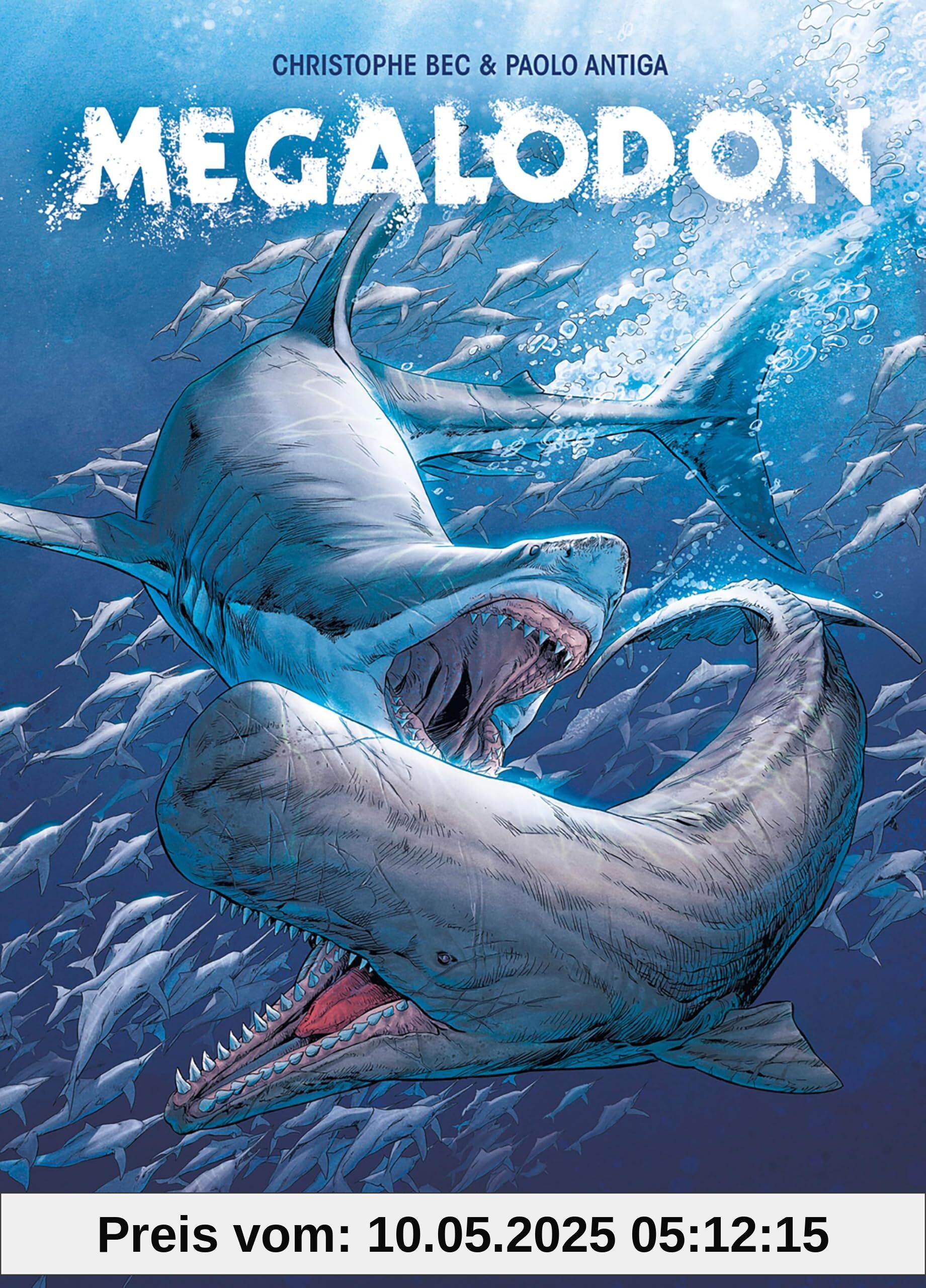 Megalodon