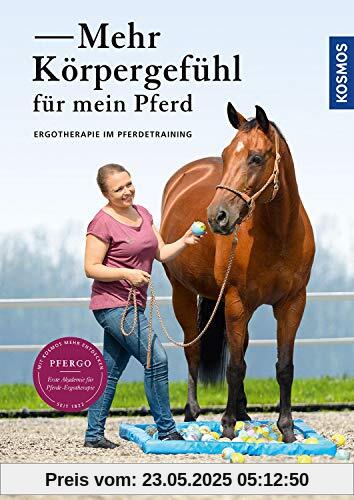 Mehr Körpergefühl für mein Pferd: Ergotherapie im Pferdetraining