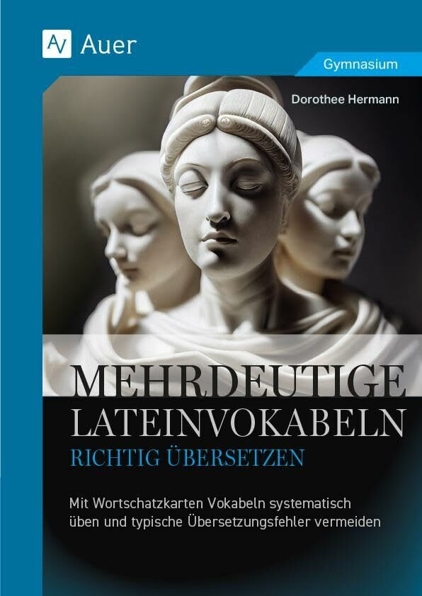 Mehrdeutige Lateinvokabeln richtig übersetzen: Mit Wortschatzkarten Vokabeln systematisch üben...