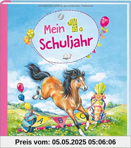 Mein 1. Schuljahr