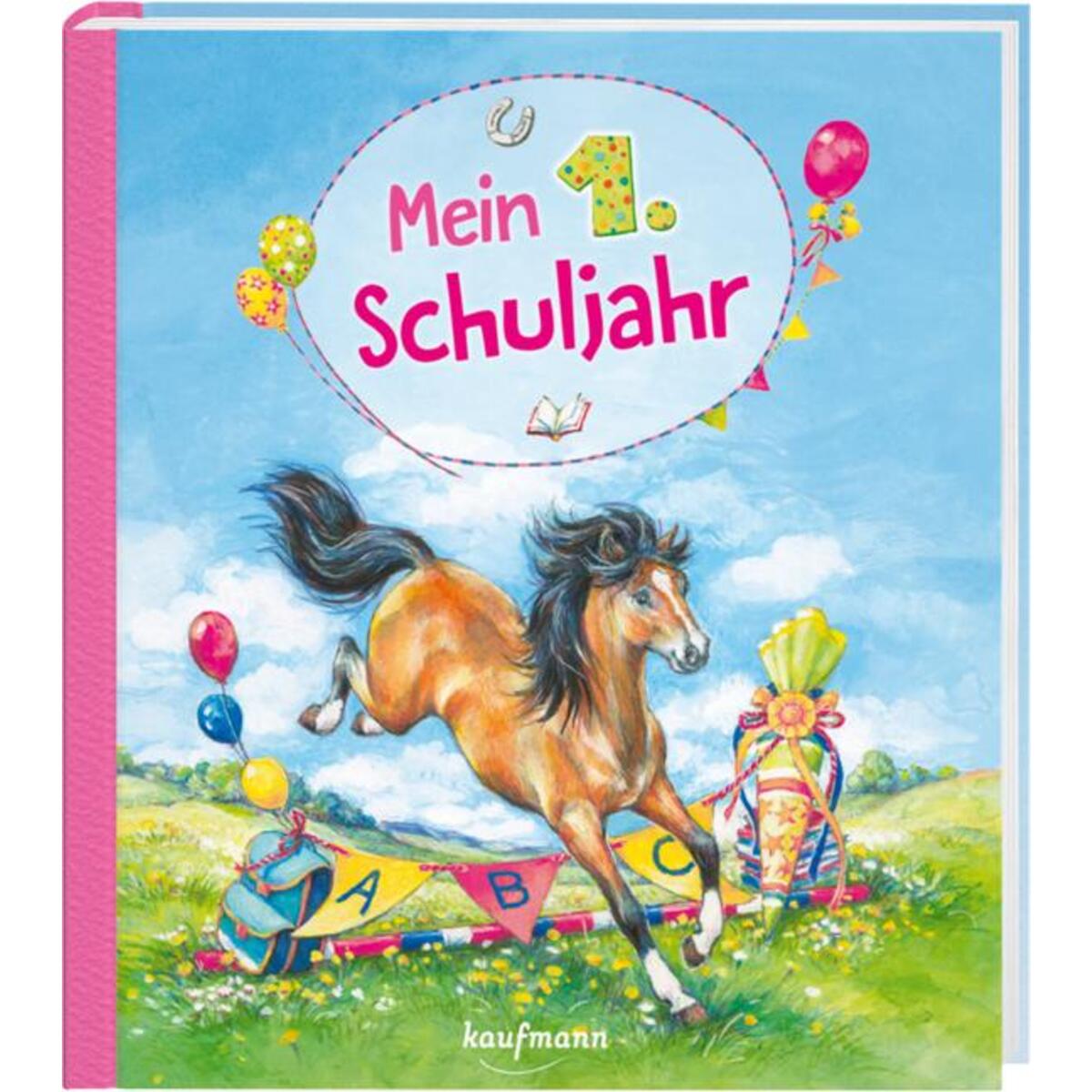 Mein 1. Schuljahr Mein 1. Schuljahr von Kaufmann Ernst Vlg GmbH
