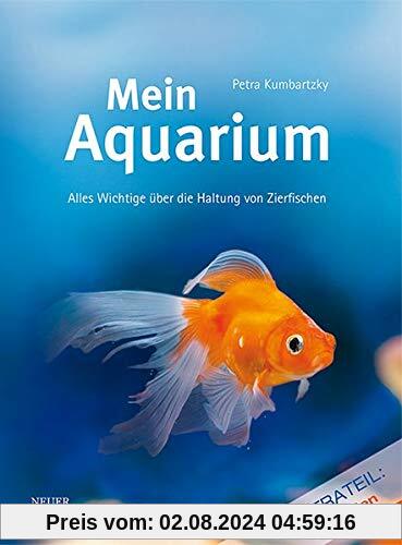 Mein Aquarium: Alles Wichtige über die Haltung von Zierfischen