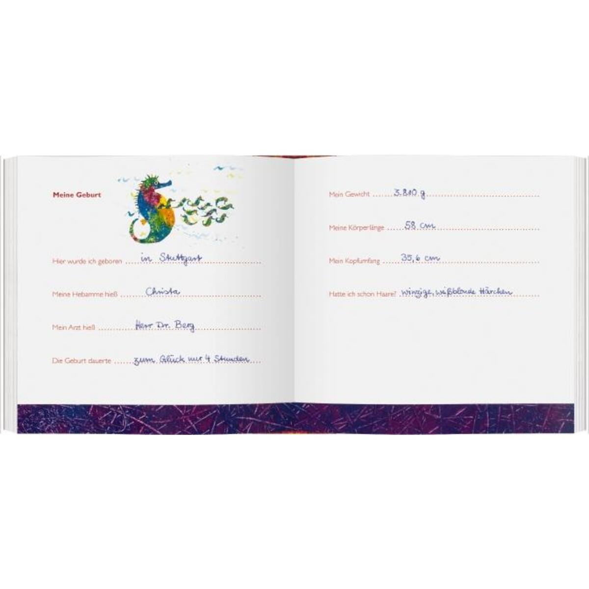 Mein Babyalbum »Die kleine Raupe Nimmersatt« von Gerstenberg Verlag
