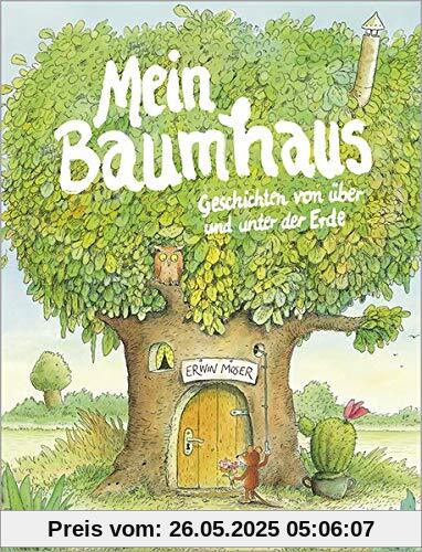 Mein Baumhaus: Geschichten von über und unter der Erde Mit vielen farbigen Bildern Mein Baumhaus: Geschichten von über und unter der Erde Mit vielen farbigen Bildern