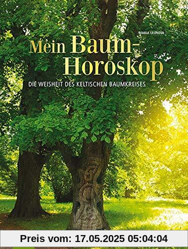 Mein Baumhoroskop: Die Weisheit des keltischen Baumkreises