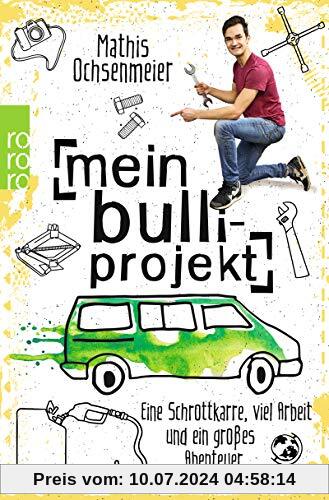 Mein Bulli-Projekt: Eine Schrottkarre, viel Arbeit und ein großes Abenteuer