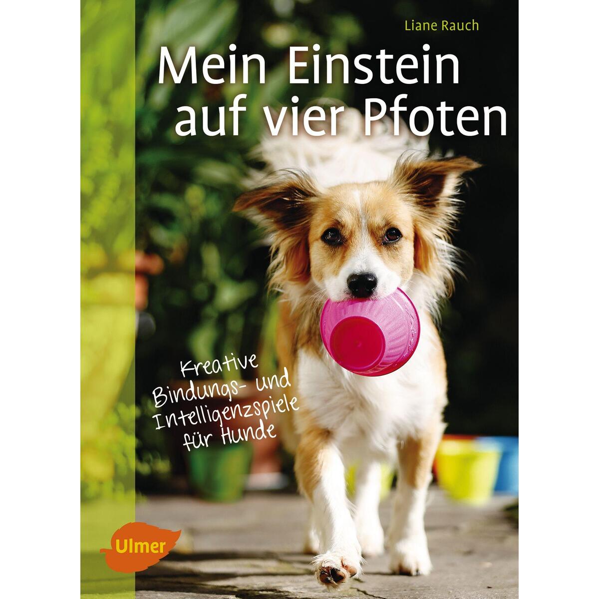 Mein Einstein auf vier Pfoten von Ulmer Eugen Verlag