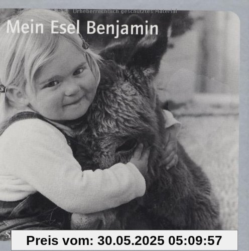 Mein Esel Benjamin - Midi-Ausgabe: Eine erstaunliche, aber bestimmt wahre Geschichte für Kinder und große Leute, erzählt von Susi