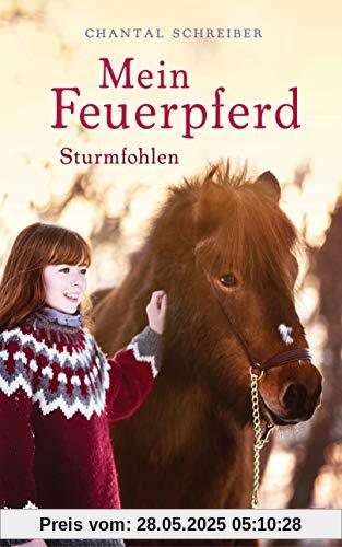 Mein Feuerpferd - Sturmfohlen (Die Mein Feuerpferd-Reihe, Band 2)