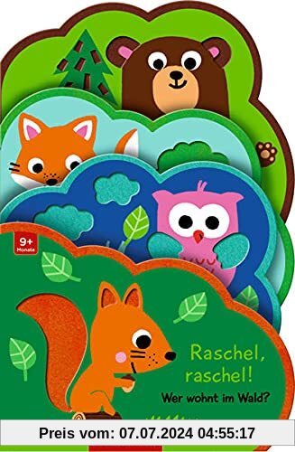 Mein Filz-Fühlbuch: Raschel, raschel! Wer wohnt im Wald? (Fühlen und die Welt begreifen)