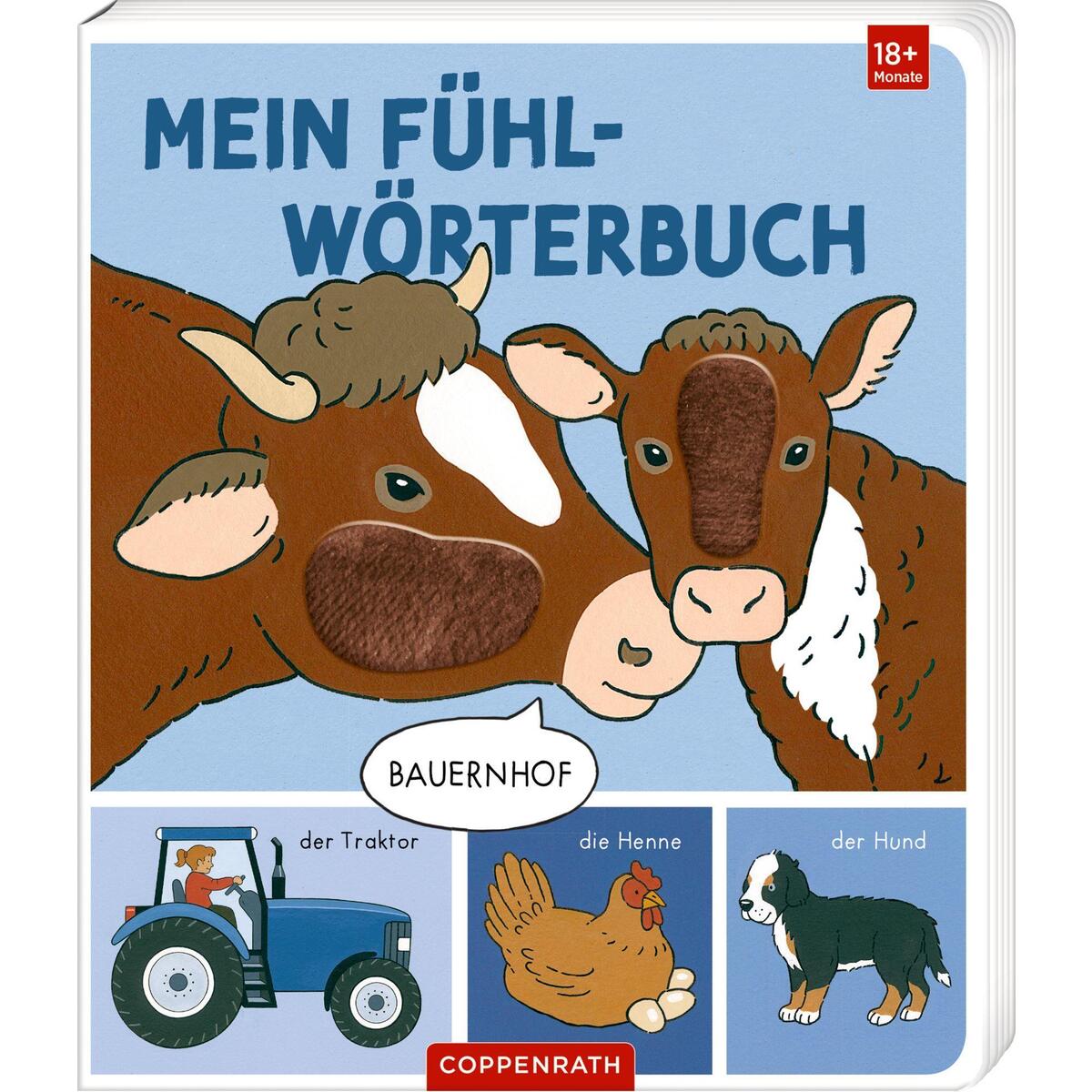 Mein Fühl-Wörterbuch von Coppenrath F