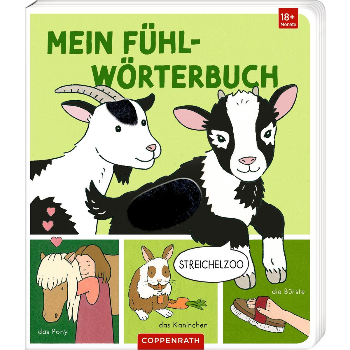 Mein Fühl-Wörterbuch Mein Fühl-Wörterbuch von Coppenrath F