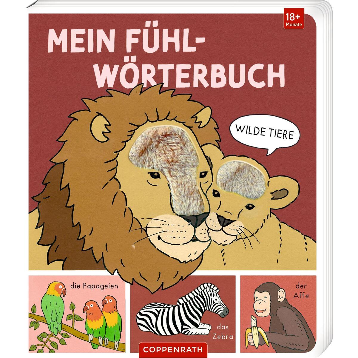 Mein Fühl-Wörterbuch Mein Fühl-Wörterbuch von Coppenrath