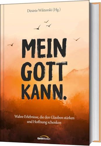 Mein Gott kann.: Wahre Erlebnisse, die den Glauben stärken und Hoffnung schenken