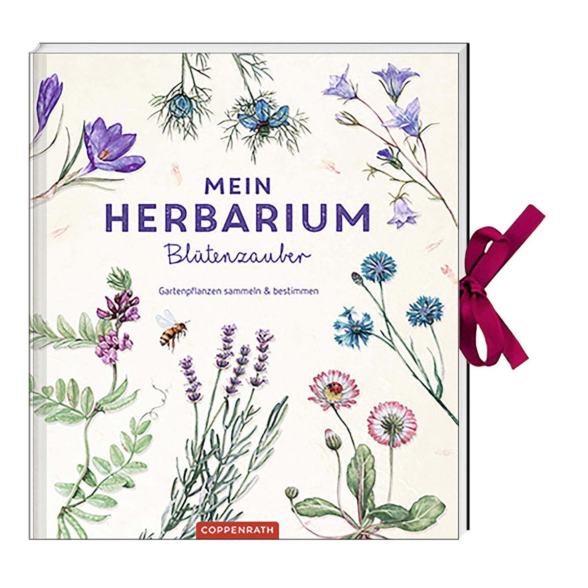 Mein Herbarium: Blütenzauber von Coppenrath