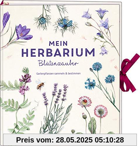 Mein Herbarium: Blütenzauber: Gartenpflanzen sammeln und bestimmen