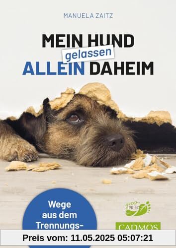 Mein Hund gelassen allein daheim: Wege aus dem Trennungsstress