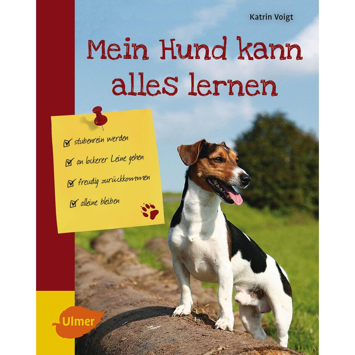 Mein Hund kann alles lernen Mein Hund kann alles lernen von Ulmer Eugen Verlag