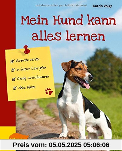 Mein Hund kann alles lernen: Stubenrein werden, an lockerer Leine gehen, freudig zurückkommen, alleine bleiben