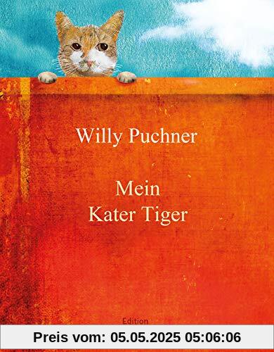 Mein Kater Tiger Mein Kater Tiger