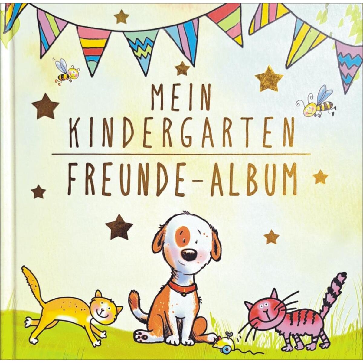 Mein Kindergarten Freunde-Album - Mit Goldfolienprägung auf dem Umschlag! von Albarello Verlag GmbH