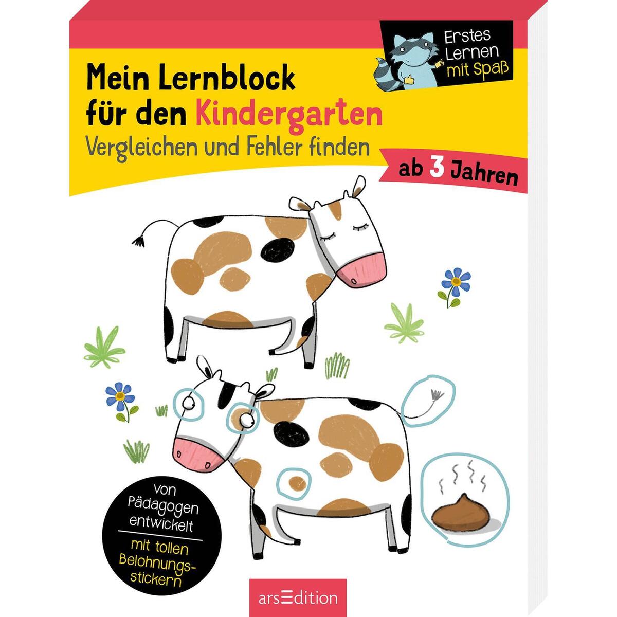 Mein Lernblock für den Kindergarten - Vergleichen und Fehler finden von Ars Edition GmbH