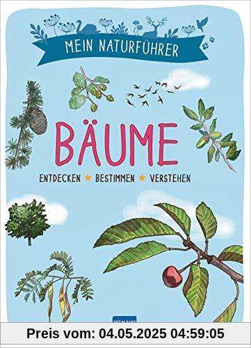 Mein Naturführer - Bäume: Erkennen · erforschen · verstehen