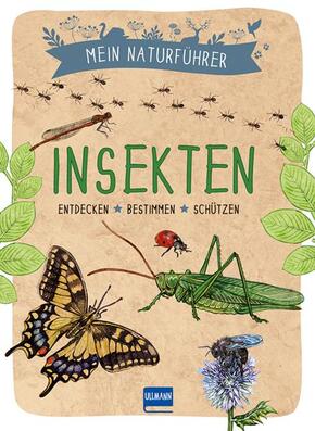 Mein Naturführer - Insekten Mein Naturführer - Insekten