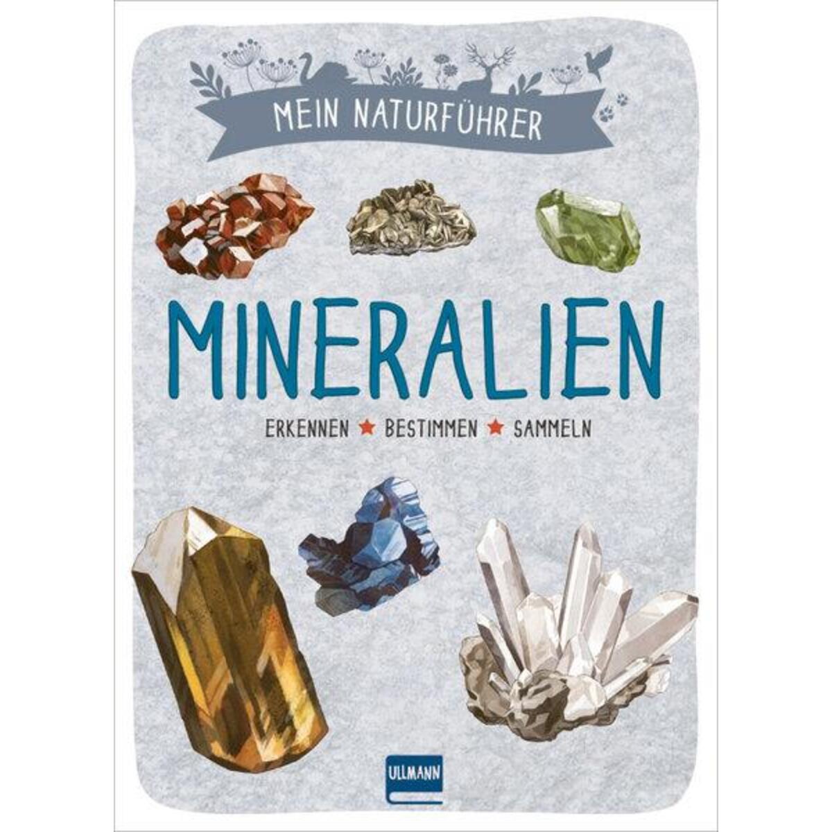 Mein Naturführer - Mineralien von Ullmann Medien GmbH