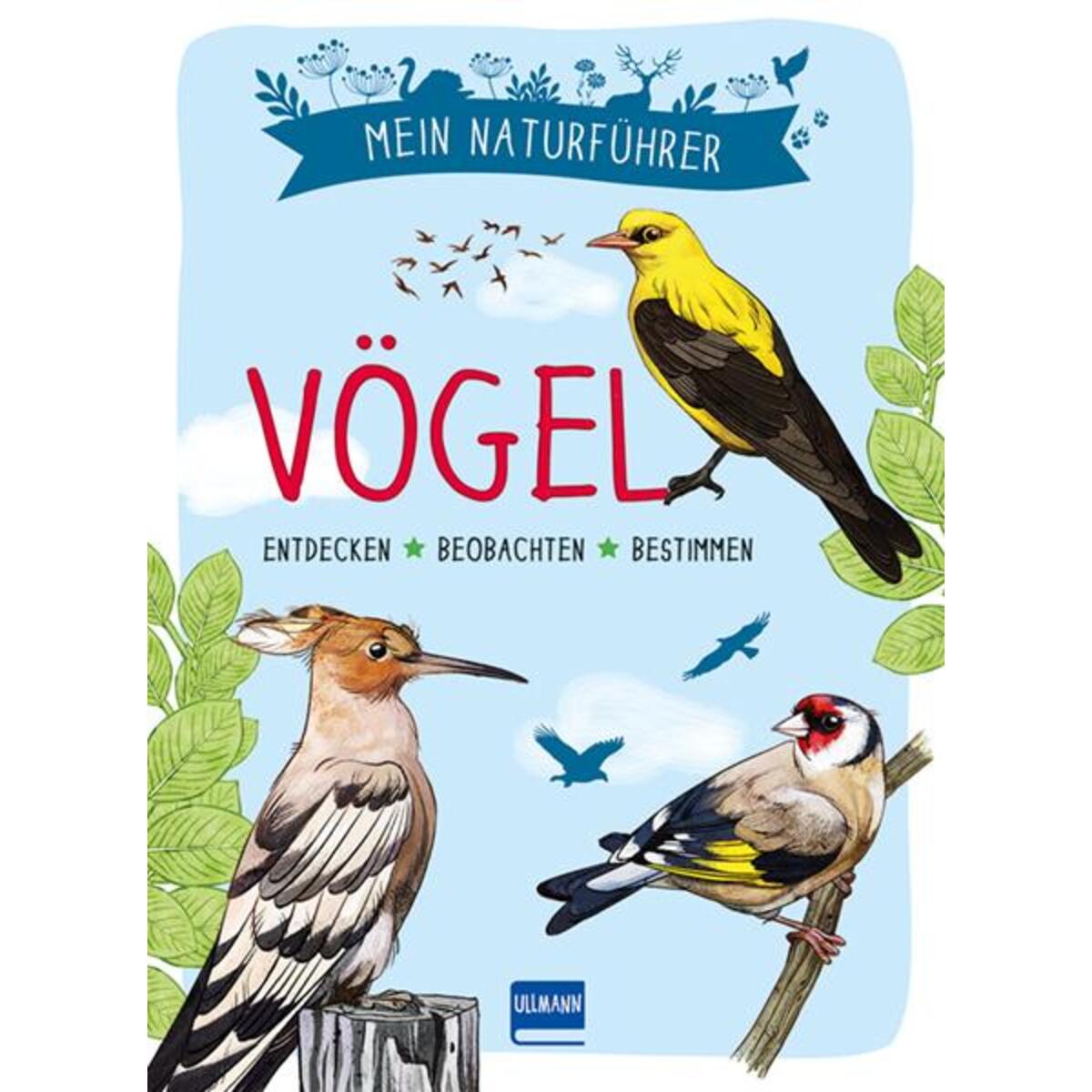 Mein Naturführer - Vögel von Ullmann Medien GmbH