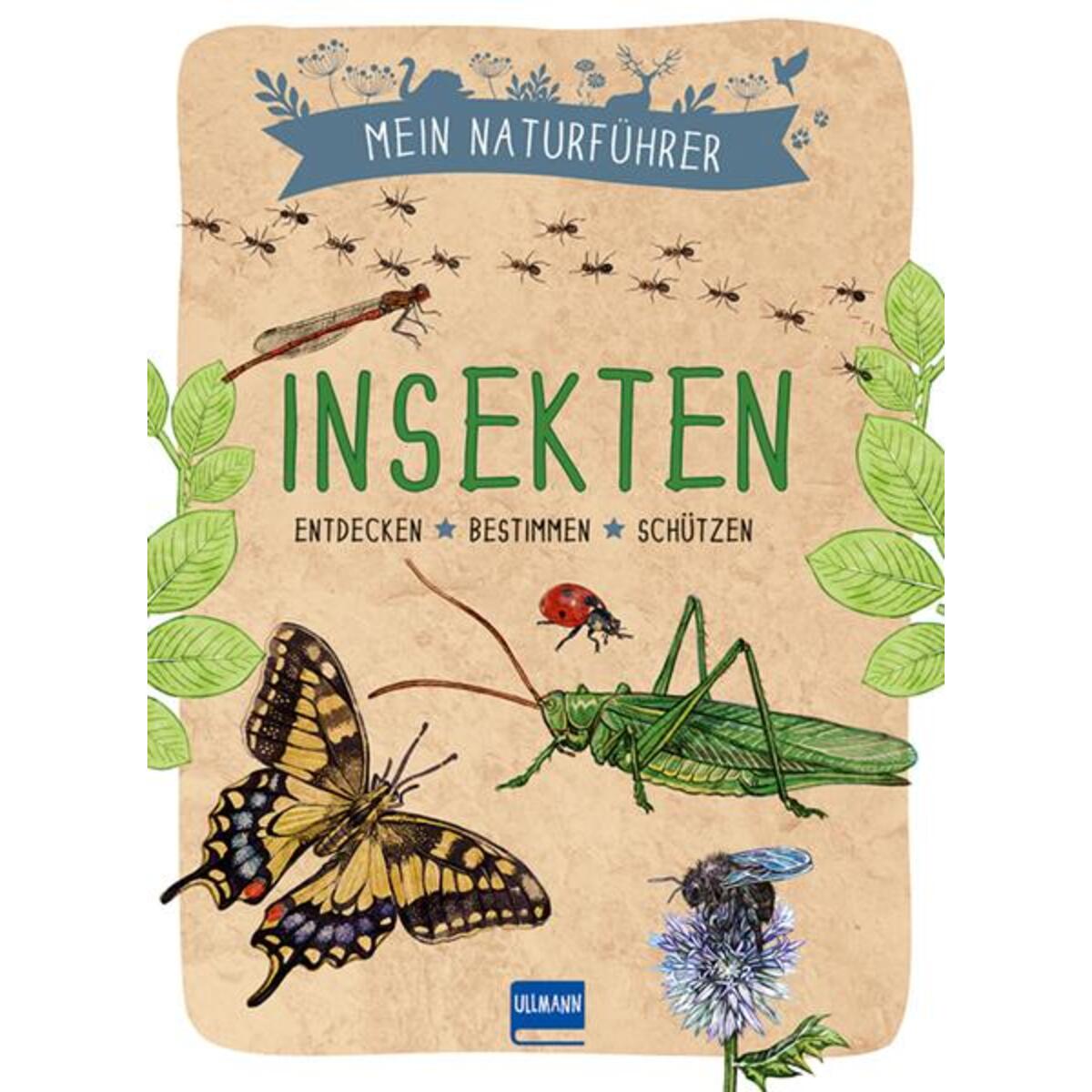 Mein Naturführer: Insekten von Ullmann Medien GmbH
